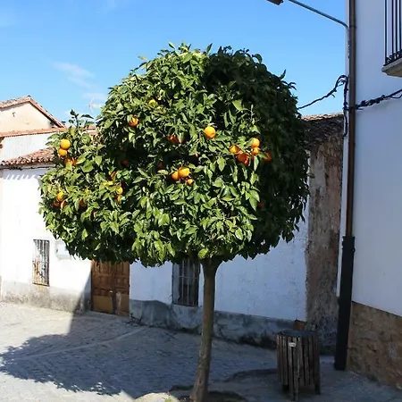 Pilas * Collado (Caceres)