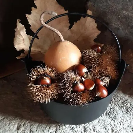 Pilas منزل ريفي Collado (Caceres)