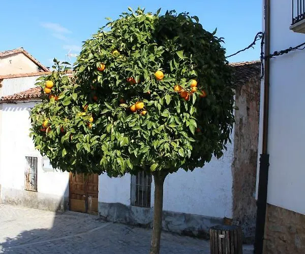 Pilas * Collado (Caceres)