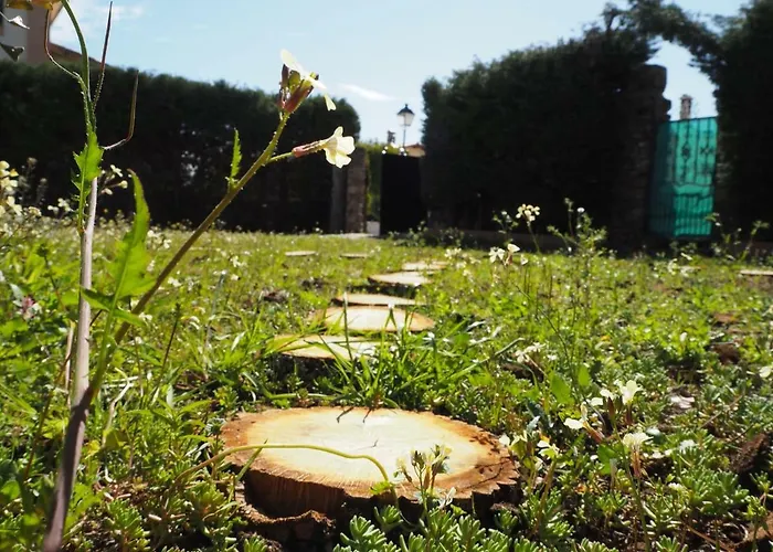 Pilas Летний дом