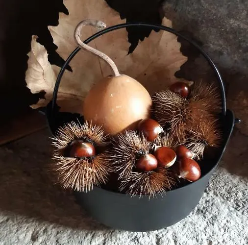 Pilas Летний дом Кольядо